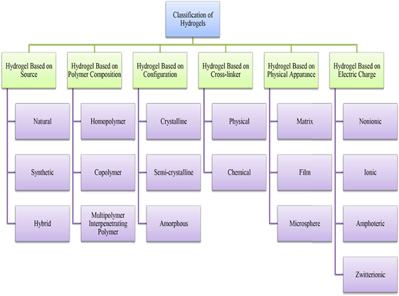 Figure3: Classification of Hydrogel
